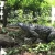 Import Other amusement park products mechanical life size realistic robotic Crocodile from China