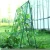 Import Pe Coated Garden Stake Type A Strut Set Garden Stake 20mm Plastic Coated Steel Pipes Tree Supporters from China
