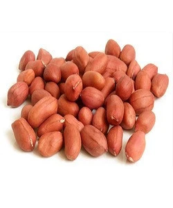 Peanut Raw Fresh Peanuts Raw Fresh Quality Groundnuts 100%