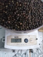 Pepper 2021 from Vietnam Pepper Black Spicy Single Herbs & Spices Dried Raw Allspice 5000 Kg Round with 2-3 Year Shelf Life