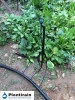 Plentirain garden irrigation microsprinkler support stand set