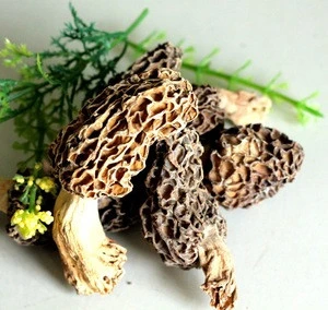 Pollution-free good Dried morchella mushroom