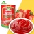 Import Popular Dressing Preserved Canned Vegetables Ketchup Tomato Paste from China