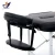 Import Portable 2 section aluminum CE certification adjustable folding massage bed from China