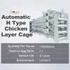 Poultry Cage Supplier Sales H Type Automatic 4 Tiers 5Tiers Chicken Layer Cage Philippines