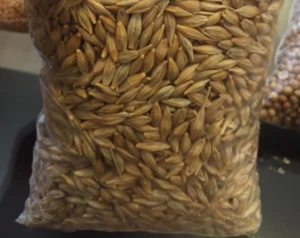 Premium Quality Animal Feed Barley