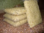 Premium Quality Chilgoza Pine Nuts / Quality Pine Nuts Chilgoza