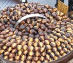 Premium Quality Whole I.Q.F Dried Chestnuts/Dried chestnuts bulk food