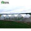 Production Center Multi Span Arched Roof PE Plastic Film Hydroponic Automated Greenhouse for Tomato