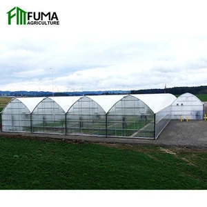 Production Center Multi Span Arched Roof PE Plastic Film Hydroponic Automated Greenhouse for Tomato