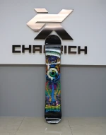 Professional Adult Child Custom Skateboard Snow board Skiing Snowboard