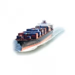 professional ddp sea shipping fba service from China to Canada USA Europe