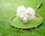 Professional durable badminton goose feather baton shuttlecock