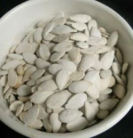 PUMPKIN SEEDS SALTED