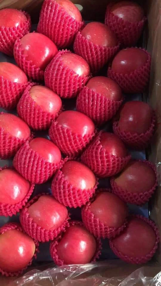Quality Chinese fresh Fuji apples