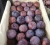 Import Quality Fresh plums from South Africa