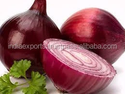 Red Onion Of Best Quality