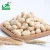Import Salted Flavor Roasted Cashew Nuts with good price from China