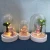 Import Sea Watch Series beach mermaid lamp with plastic cover for indoor decoration from China