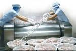 Seafood from Vietnam, pangasius fish, pangasius, pangasius frozen