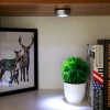 Sliver Color Mini Indoor 3Led Round Operated Touch Lights For Closets
