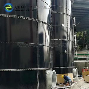 small biogas plant digesters and reactors