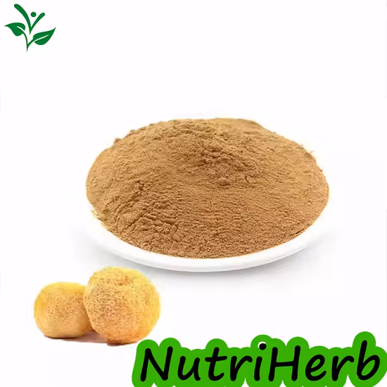 100% Lions Mane Mushroom Powder Mushroom Extract Powder