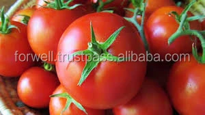 Special Tomato Harvester Agriculture