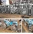 Import Stainless Steel Ss304 Ss316l Food Grade Liquid Transfer Sanitary Centrifugal Pump from China