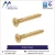 Import Standard Quality Brass Screws Set from India