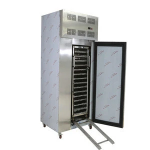 Strawberry chicken fish dumpling bread meat shock freezing IQF freezer machine