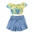Import Summer Girl Blouse And Shorts Clothes Set Flower Print Outfits 2pcs Children Clothing from China