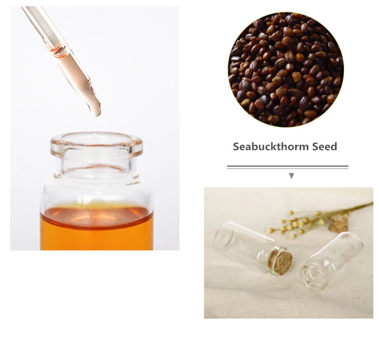 Supply Wild raw material Sea Buckthorn Seed Oil /Seabuckthorn Seed Oil 99%