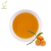 Taiwan Hot selling Bubble Tea for Kumquat Lemon Concentrate syrup