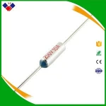Thermal Fuse Link,Electric Rice Cooker Ry Fan Motor Thermal Fuse 10A 250V