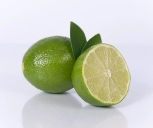 Top Quality Fresh Lime Seedless Lime