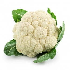 Top Quality Fresh Whole Cauliflower