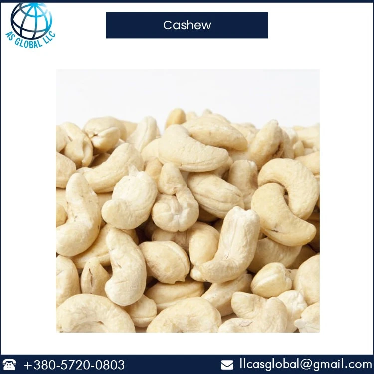 Top Selling Cashew Nut at Lowest Price