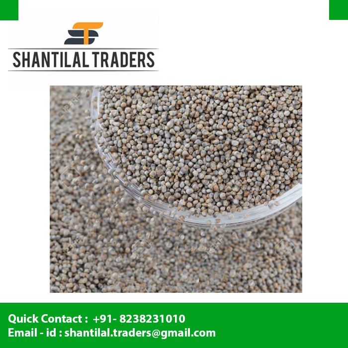 Top Supplier Green Millet/ Bajra/ Millet Bajra Seeds For Export