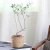 Traditional bamboo weaving design cement pot flower planter with moden color for home decoration