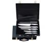 TUV kitchen knife kit with case