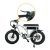 Import Unique features Chanson Electric Bike 48v 750w Lithium Battery Rear Hub Motor City E-bike from China