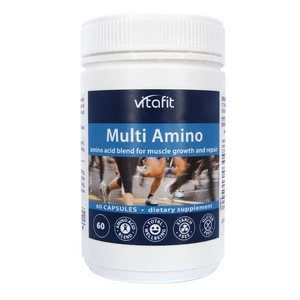 Vitafit Multi Amino | Support Metabolism, Muscle Growth and Repair, Sports Supplement