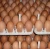 Import White and Brown Chicken Eggs/Fresh Table Eggs For Sale from Netherlands