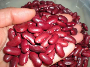 White Kidney Beans/ Speckled Kidney Beans/ Red Kidney Beans For Sale