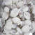 Import Whole Baby Cuttlefish Cleaned /Frozen Baby Cuttlefish best price from Thailand