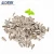 Import wholesale 5009 363 type market sunflower seed kernel ton price from China