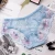 Import Wholesale Hipster Silk Satin Sheer Lingerie Lace Seamless Transparent Ladies Panty Lady Underwear Panties For Women from China