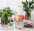 Import Wholesale Home Decoration Use Crystal Colored Clear Cube Glass Vases Cheap Price Square Shaped Vase from China