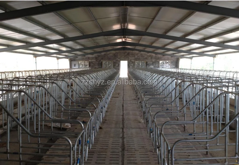 Wholesale Pig Stall Gestation Crates for SALE